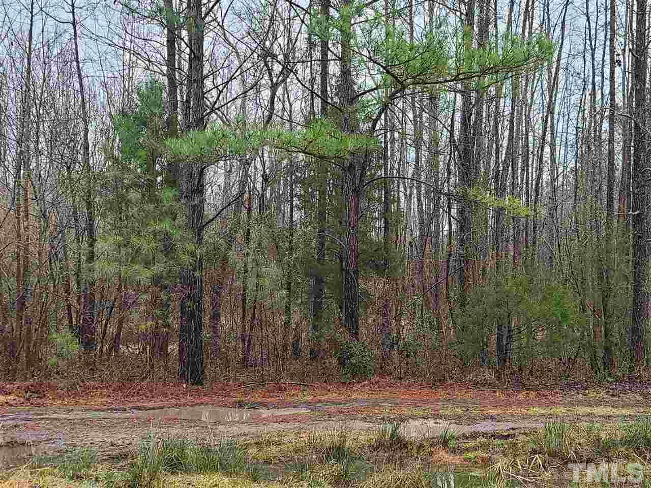 107 Inscoe Road Castalia, NC 27816 - Photo 7 of 9