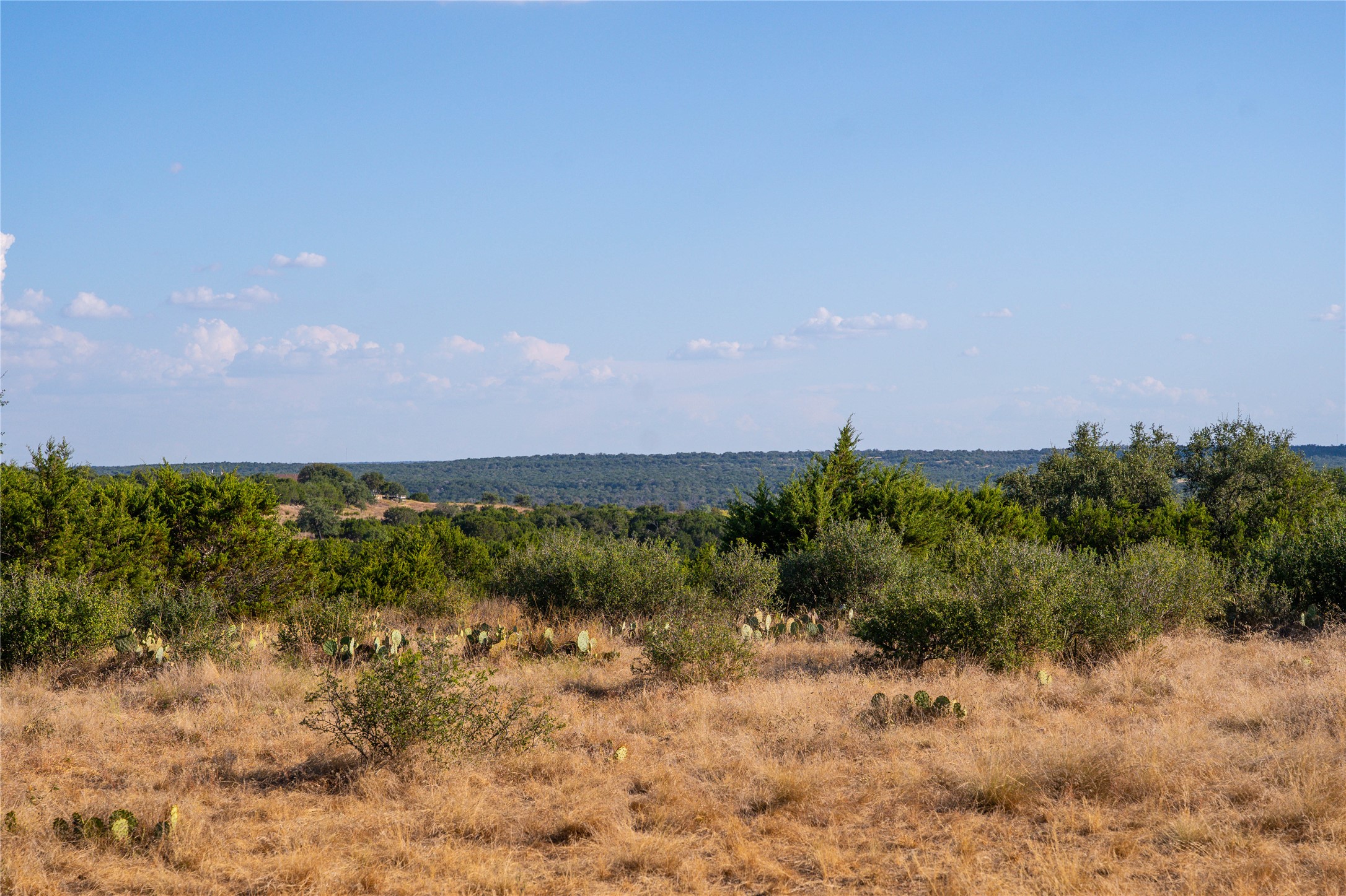 4719 Private Road, Unit 4718 Kempner, TX 76539 - Photo 33 of 38 Plenty of room for a barn