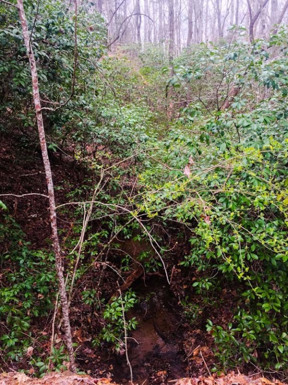 Lot 24 Talons Ridge Road Seneca, SC 29672 - Photo 3 of 4 Creek flows on side of property