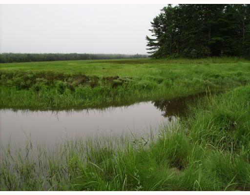 299 West Bay Road Gouldsboro, ME 04607 - Photo 39 of 39 20180818035006651617000000-o