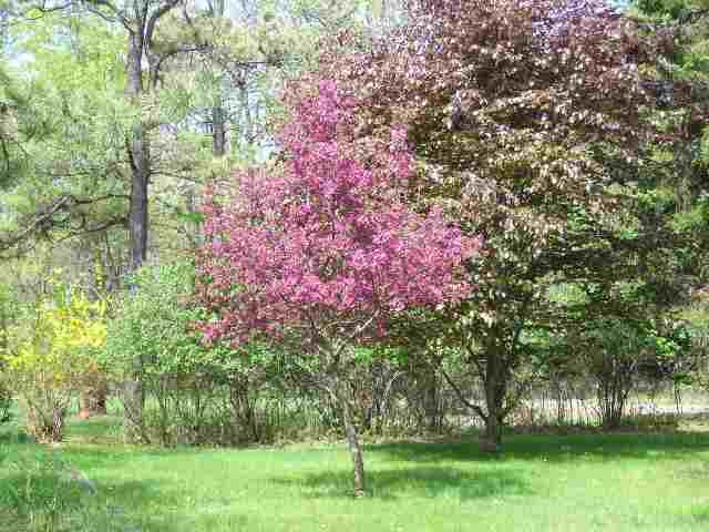 5793 East Old State Road Schenectady, NY 12303 - Photo 5 of 10 Photo 5