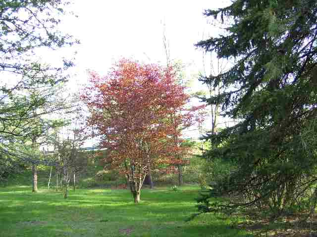 5793 East Old State Road Schenectady, NY 12303 - Photo 7 of 10 Photo 7