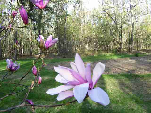 5793 East Old State Road Schenectady, NY 12303 - Photo 8 of 10 Photo 8