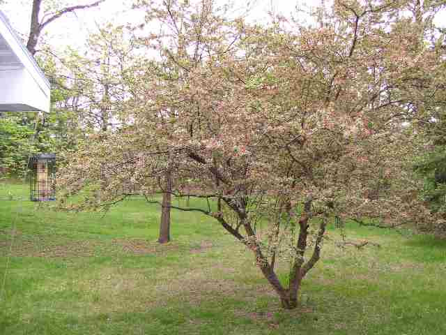 5793 East Old State Road Schenectady, NY 12303 - Photo 9 of 10 Photo 9