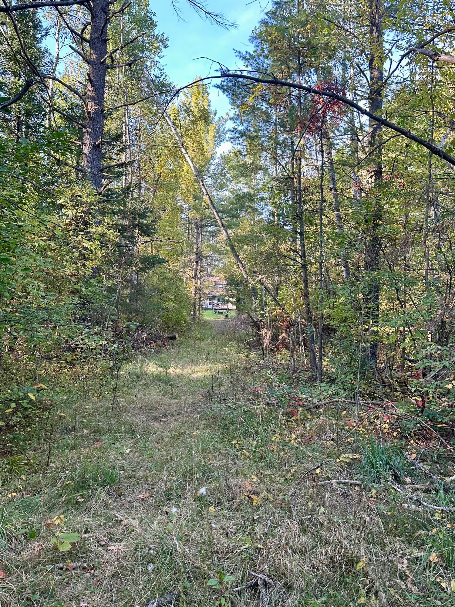 22759 Pleasant Valley Road Hillman, MI 49746 - Photo 22 of 28 Gallery Image 22