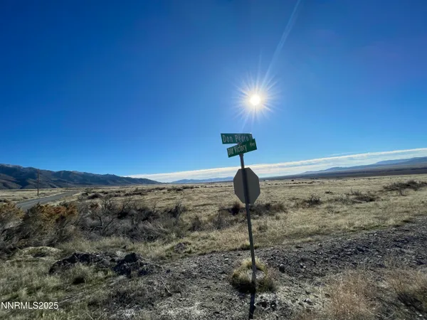 a view of a dry yard