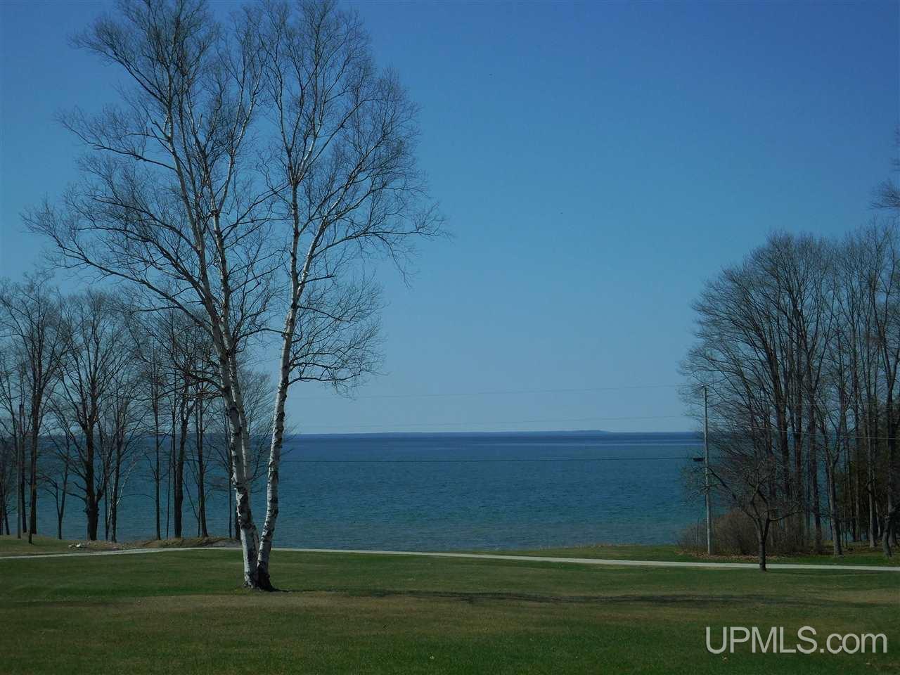 13060 8th Road Garden, MI 49835 - Photo 9 of 38