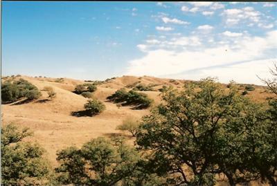 0 Sierra Grande Ranch Road, Unit 4B Sonoita, AZ 85637 - Photo 3 of 3