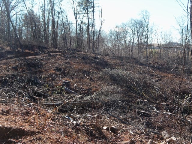 Tbd Kinzer Road Fancy Gap, VA 24328 - Photo 1 of 1 Gallery Image 1