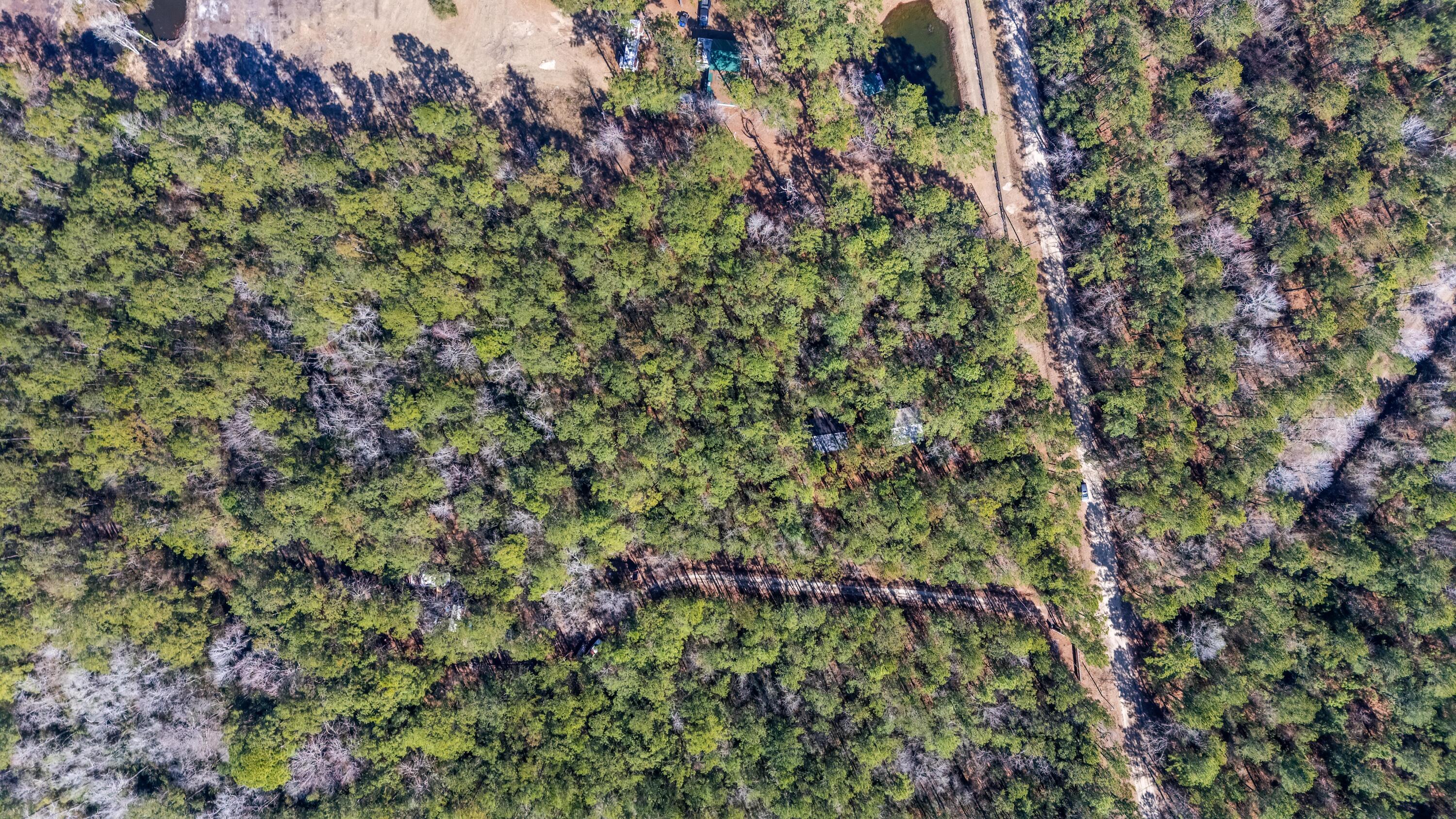 9168 Old Georgetown Road McClellanville, SC 29458 - Photo 45 of 45 DJI_20260223135354_0610_D