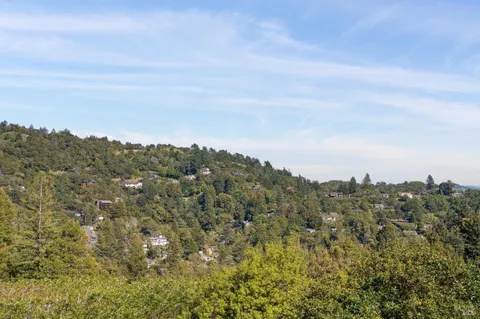 a view of a city with lush green forest