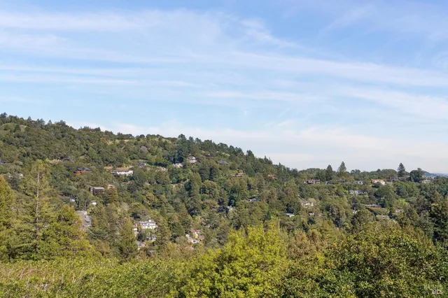 a view of a city with lush green forest