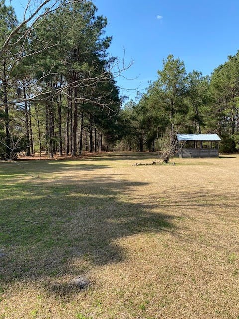 5279 Fiveash Road Hahira, GA 31632 - Photo 6 of 30 Gallery Image 6
