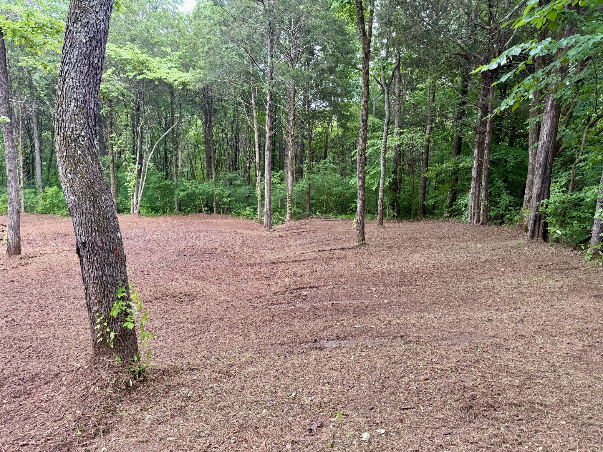 0 Bedford Lake Road Normandy, TN 37360 - Photo 30 of 34