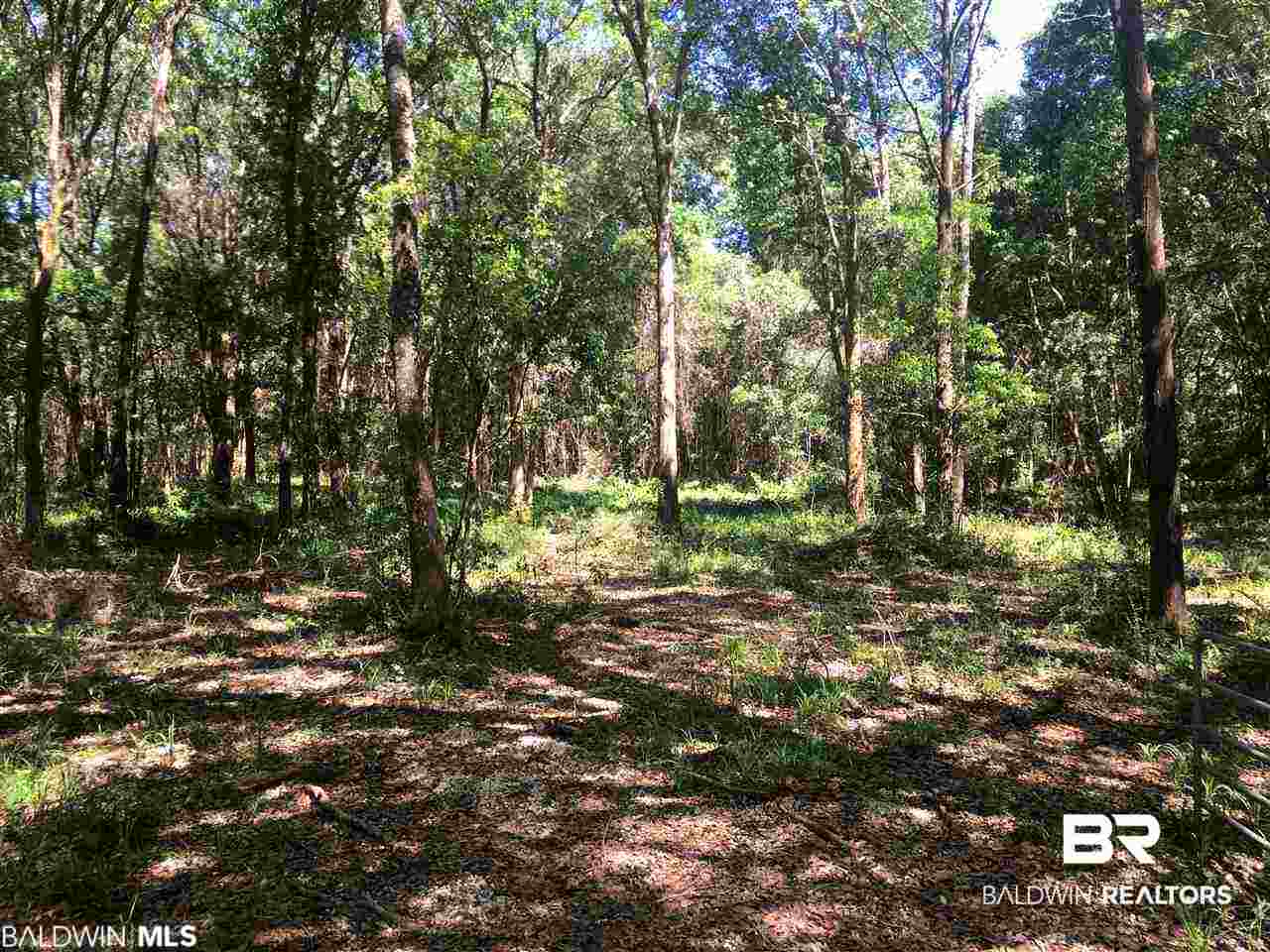 29180 Vlahos Lane Daphne, AL 36526 - Photo 2 of 11