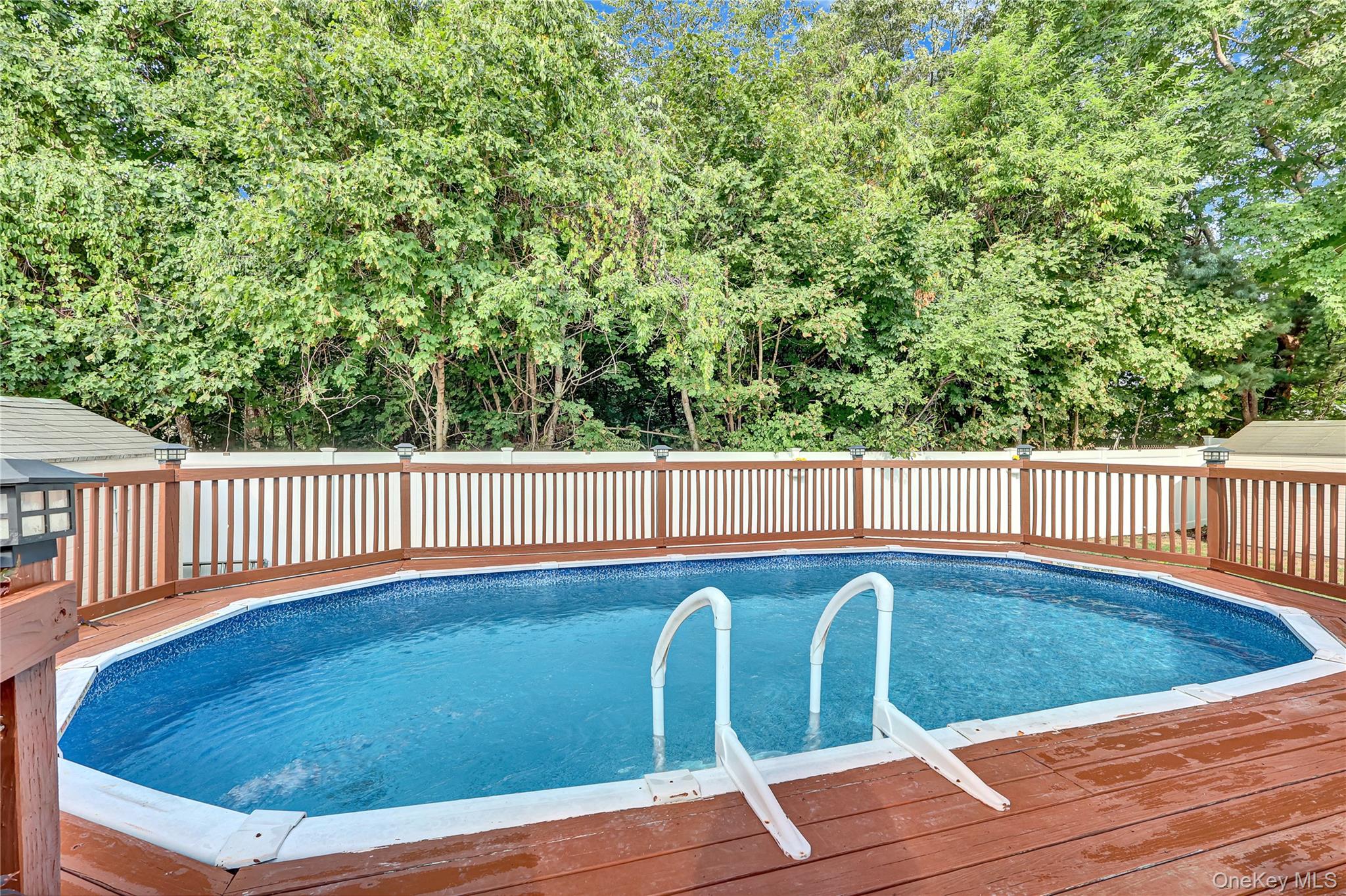 420 Dare Road Selden, NY 11784 - Photo 40 of 42 Above Ground Pool
