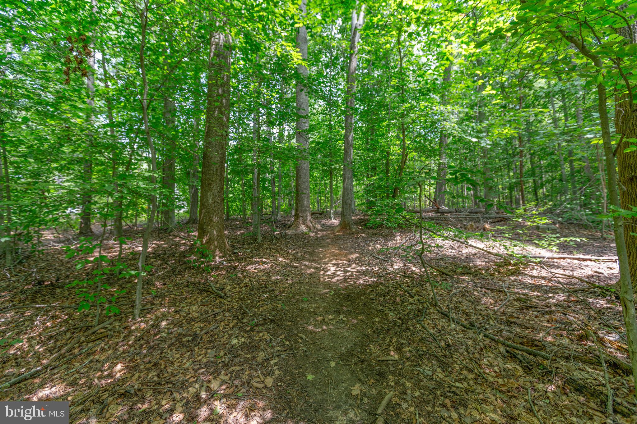 4659 Turkey Acres Road King George, VA 22485 - Photo 59 of 61 Trial
