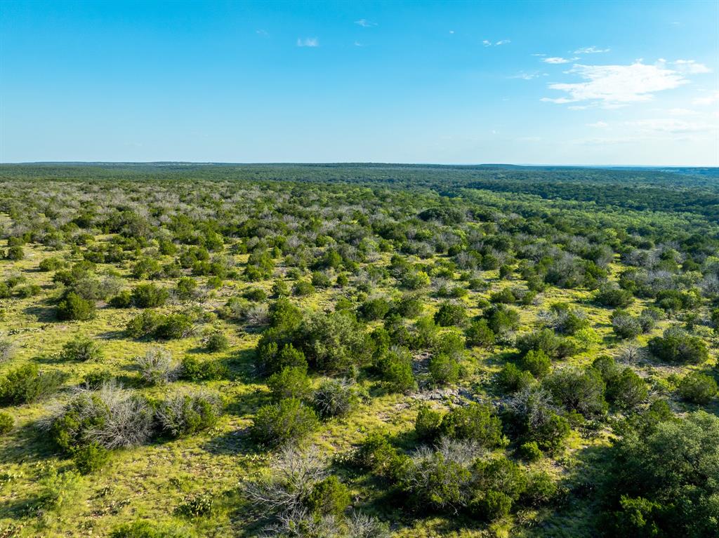 Tbd Cr 224 Brookesmith, TX 76827 - Photo 6 of 25