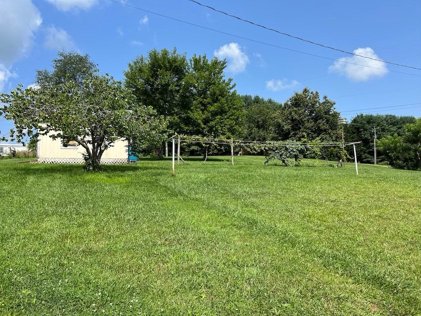 2399 Cedar Springs Road Rural Retreat, VA 24368 - Photo 42 of 49 Gallery Image 42