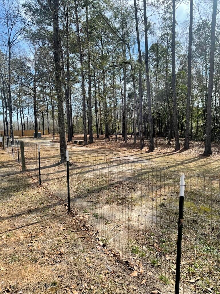 5976 Pleasant Grove Road Walterboro, SC 29488 - Photo 28 of 35