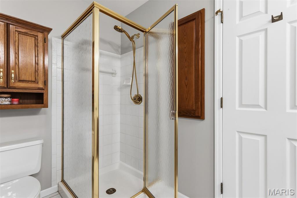 231 Maeve Court Ballwin, MO 63021 - Photo 33 of 52