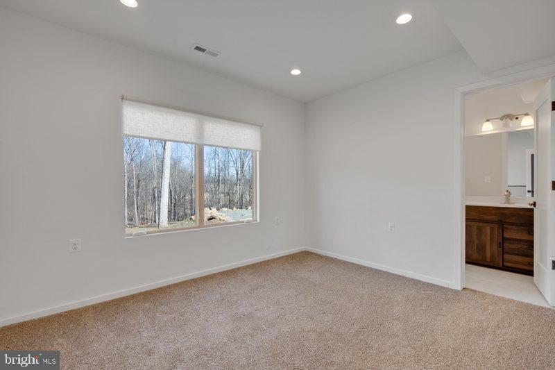 39744 Mt Gilead Road Leesburg, VA 20175 - Photo 43 of 59 Gallery Image 43