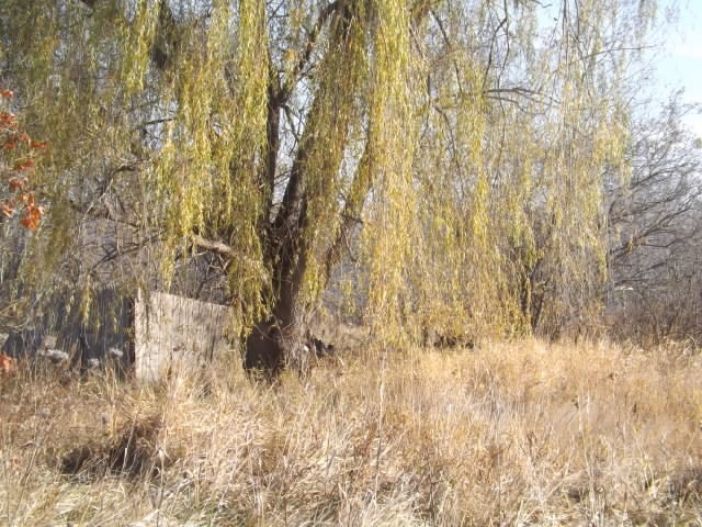 1825836-5.JPG