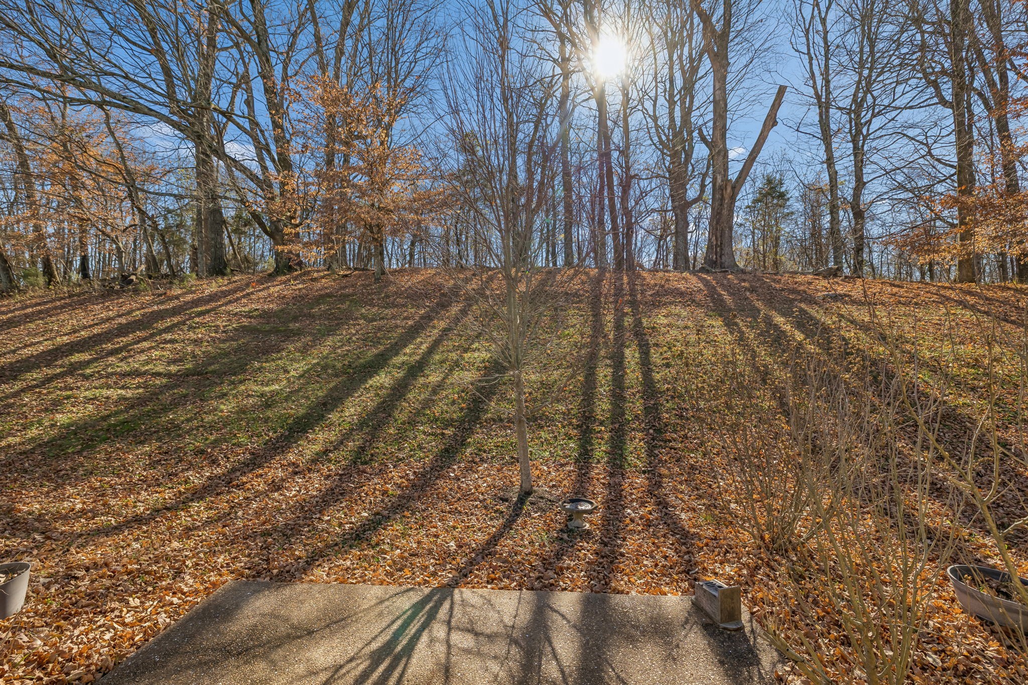 1549 Heller Ridge Spring Hill, TN 37174 - Photo 48 of 61 Gallery Image 48
