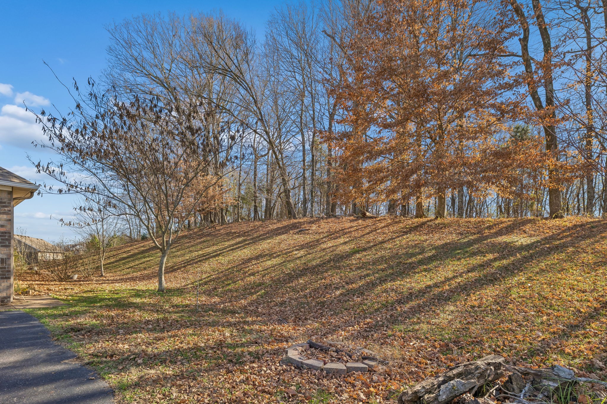 1549 Heller Ridge Spring Hill, TN 37174 - Photo 49 of 61 Gallery Image 49