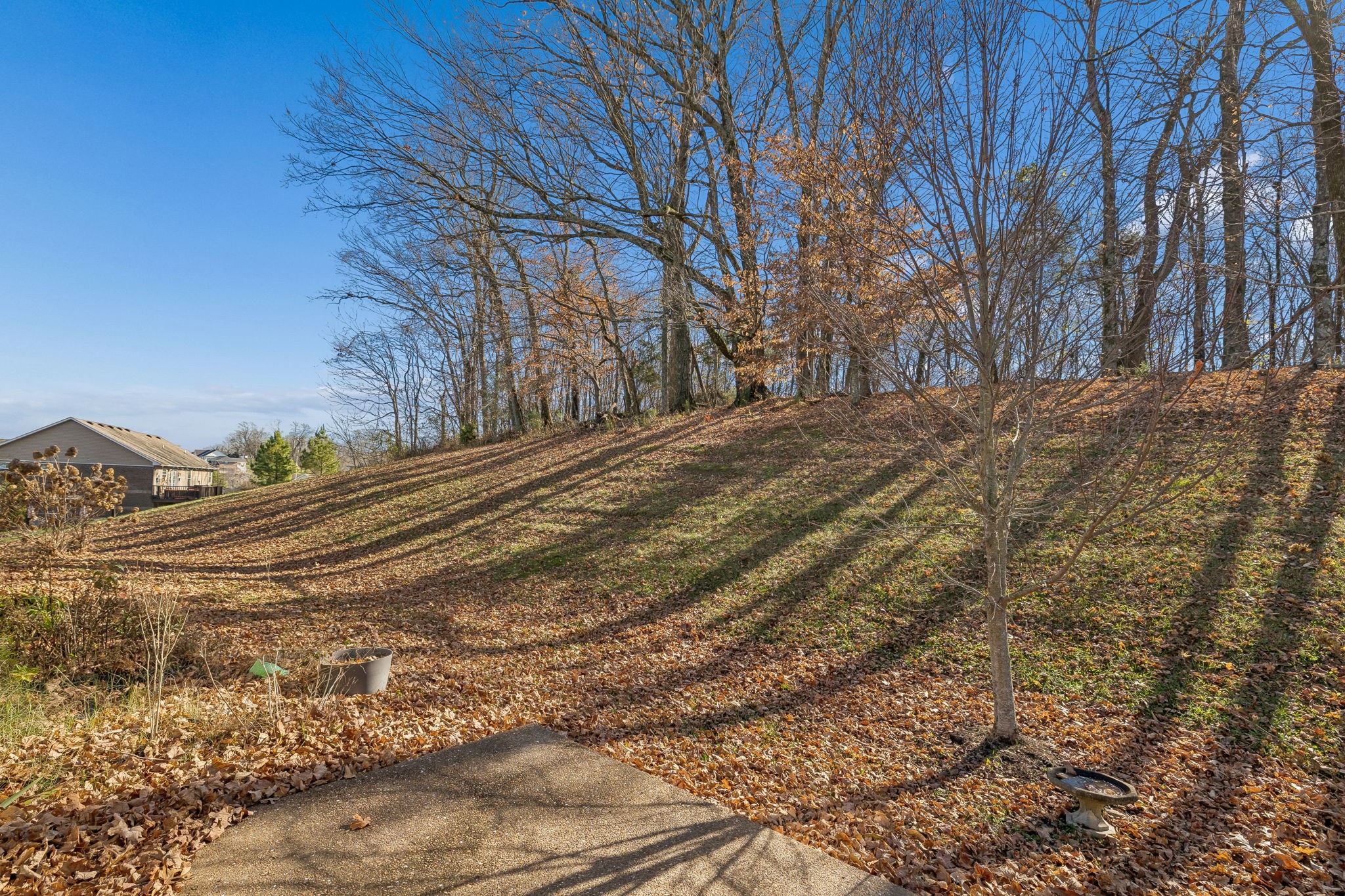 1549 Heller Ridge Spring Hill, TN 37174 - Photo 50 of 61 Gallery Image 50