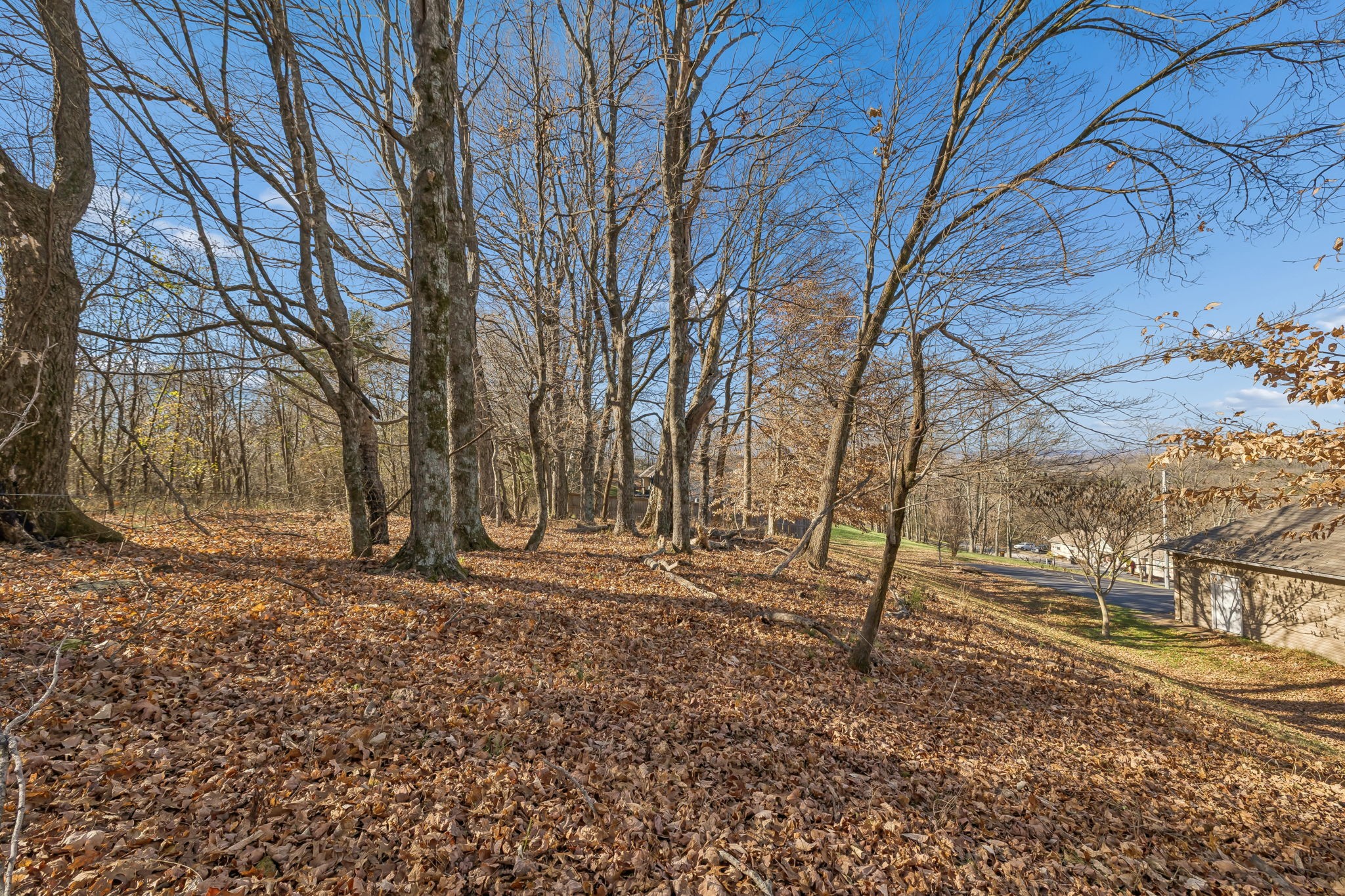 1549 Heller Ridge Spring Hill, TN 37174 - Photo 51 of 61 Gallery Image 51