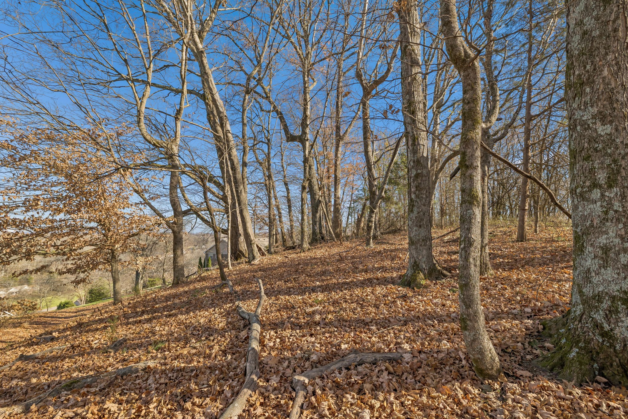1549 Heller Ridge Spring Hill, TN 37174 - Photo 53 of 61 Gallery Image 53
