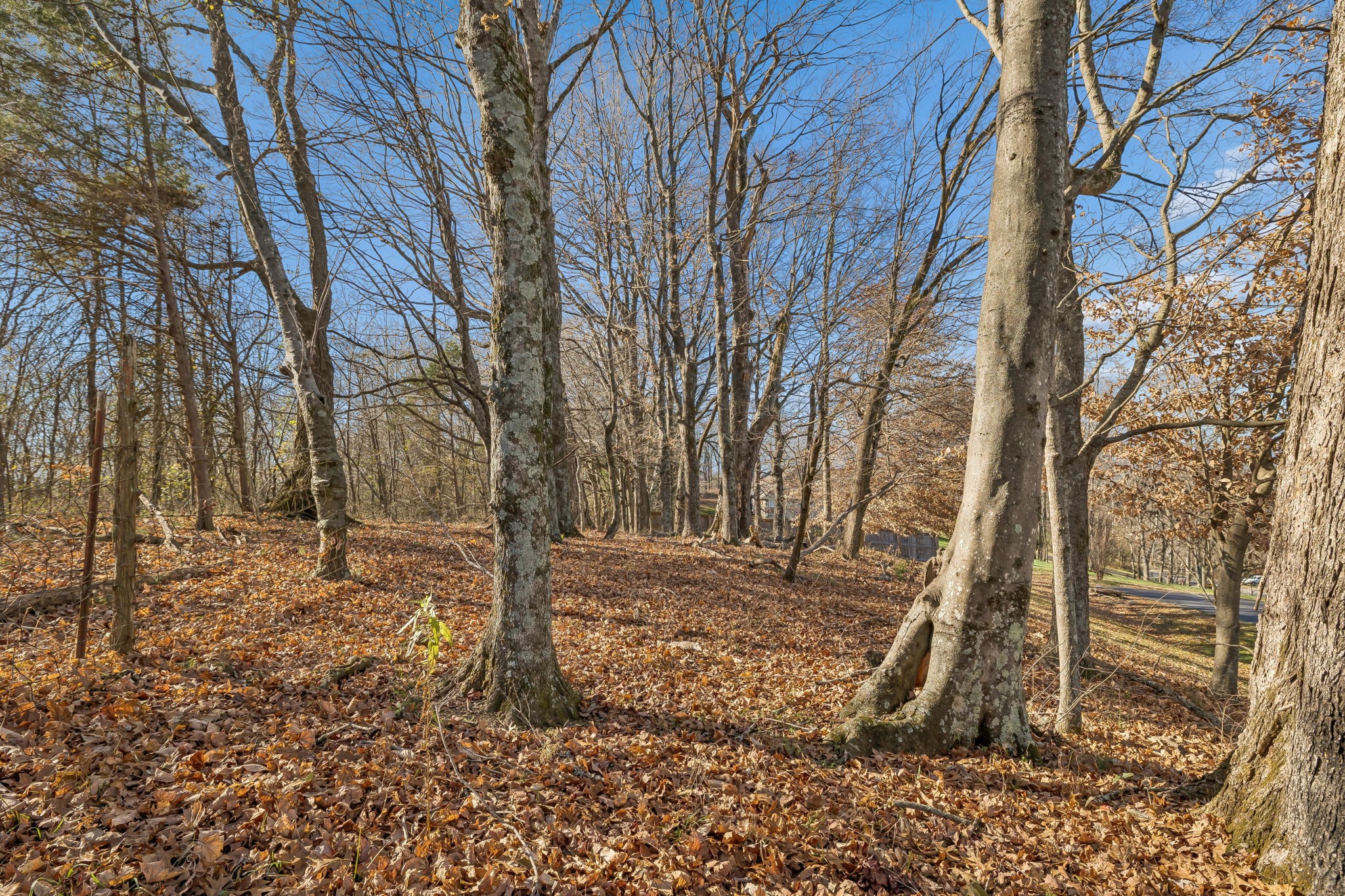 1549 Heller Ridge Spring Hill, TN 37174 - Photo 54 of 61 Gallery Image 54