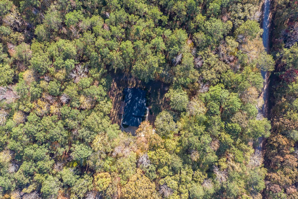 1207 Mack Scott Road Pine Mountain, GA 31822 - Photo 2 of 38 Privacy galore!