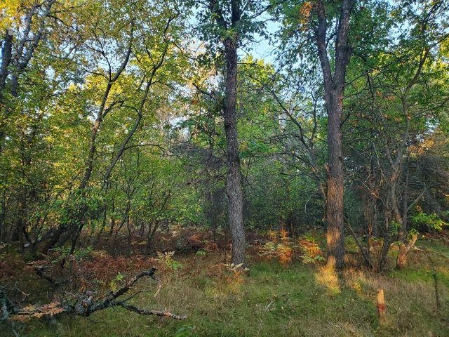 3487 Perry Holt Road West Branch, MI 48661 - Photo 13 of 17 Gallery Image 13