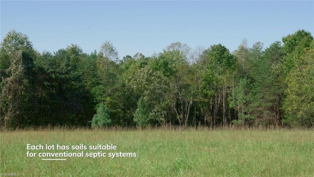 7766 Fip Newsome Road Tobaccoville, NC 27050 - Photo 17 of 37