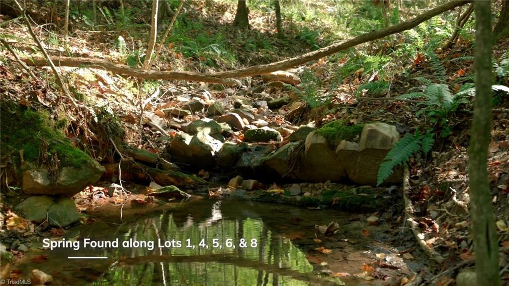 7766 Fip Newsome Road Tobaccoville, NC 27050 - Photo 25 of 37