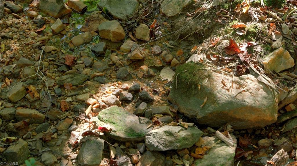 7766 Fip Newsome Road Tobaccoville, NC 27050 - Photo 26 of 37