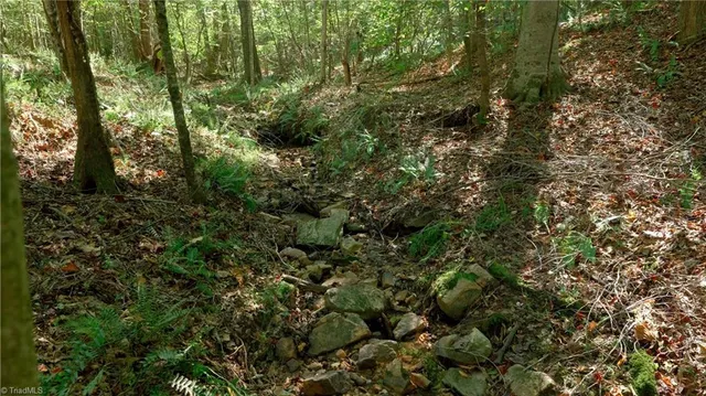 $84,900 | 7766 Fip Newsome Road, Tobaccoville, NC 27050