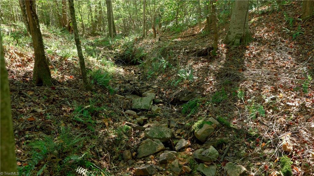 7766 Fip Newsome Road Tobaccoville, NC 27050 - Photo 27 of 37