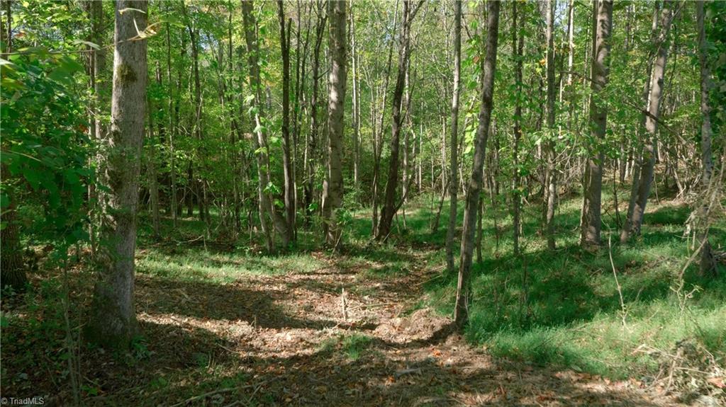 7766 Fip Newsome Road Tobaccoville, NC 27050 - Photo 28 of 37