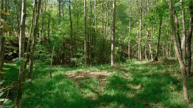 $84,900 | 7766 Fip Newsome Road, Tobaccoville, NC 27050