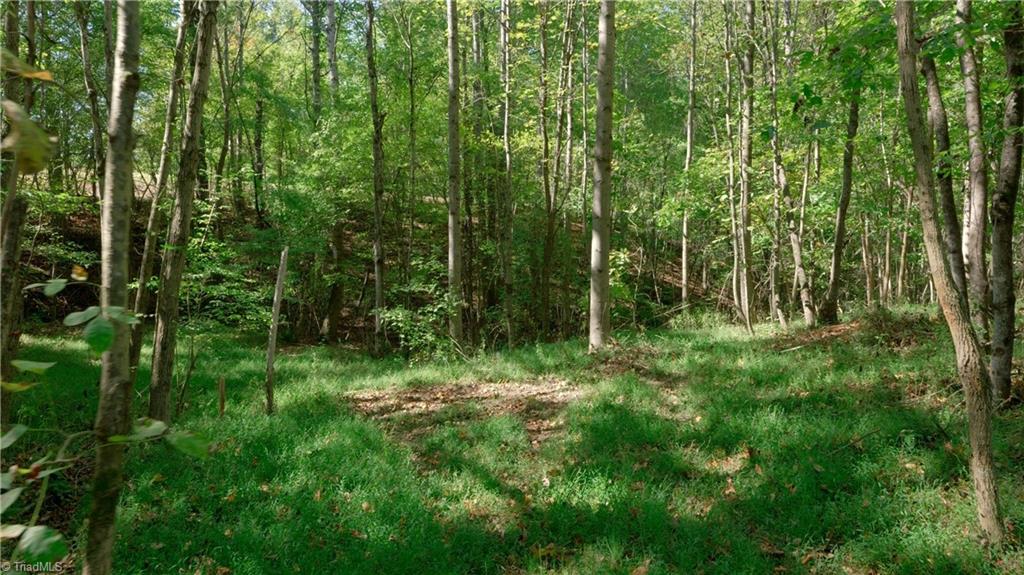 7766 Fip Newsome Road Tobaccoville, NC 27050 - Photo 29 of 37