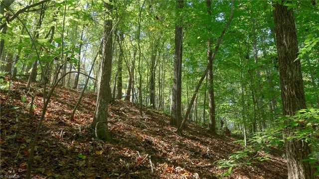 $84,900 | 7766 Fip Newsome Road, Tobaccoville, NC 27050