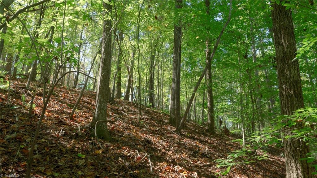 7766 Fip Newsome Road Tobaccoville, NC 27050 - Photo 30 of 37