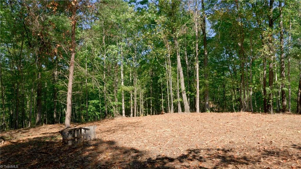 7766 Fip Newsome Road Tobaccoville, NC 27050 - Photo 31 of 37