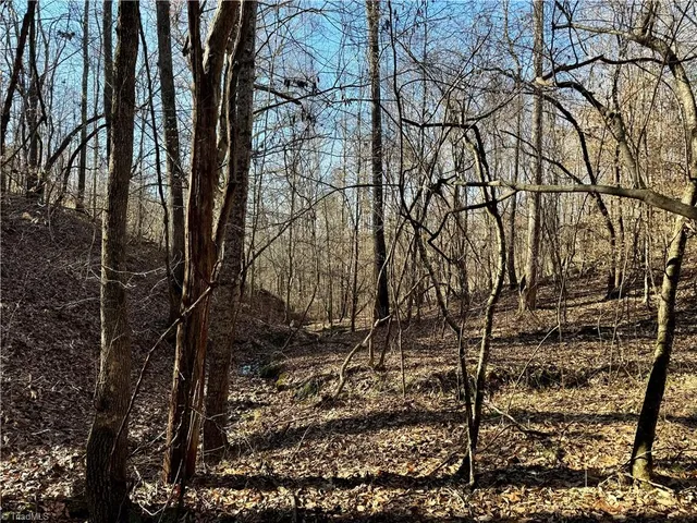 $84,900 | 7766 Fip Newsome Road, Tobaccoville, NC 27050