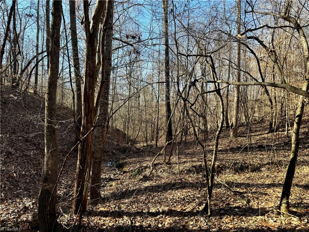 7766 Fip Newsome Road Tobaccoville, NC 27050 - Photo 8 of 37