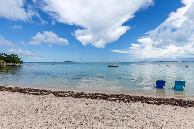a view of a dry yard with wooden fence