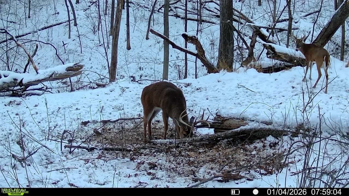 4000 Green Road Tippecanoe, OH 44699 - Photo 16 of 44 Gallery Image 16